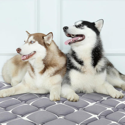 Bubble bear Dog Crate Mat - Ultra Soft, Washable & Anti-Slip Kennel Pad for Small/Medium/Large Dogs, Dark-Hued to Hide Stains (36"x23")