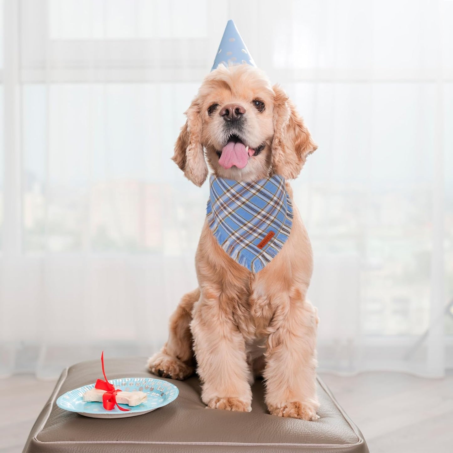 ADOGGYGO Dog Bandanas Boy with Tassels Edges, Stylish Blue Plaid Pet Scarf, Soft Cotton Fabric, Adjustable Reversible Plaid Bandanas for Small Dogs (Small)