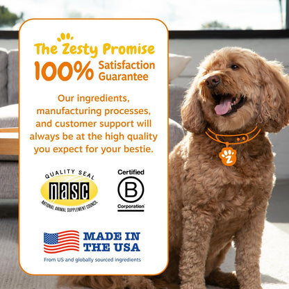 Zesty Paws Probiotics for Dogs - Digestive Enzymes for Gut Flora, Digestive Health, Diarrhea & Bowel Support - Clinically Studied DE111 - Dog Supplement Soft Chew for Pet Immune System - Pumpkin