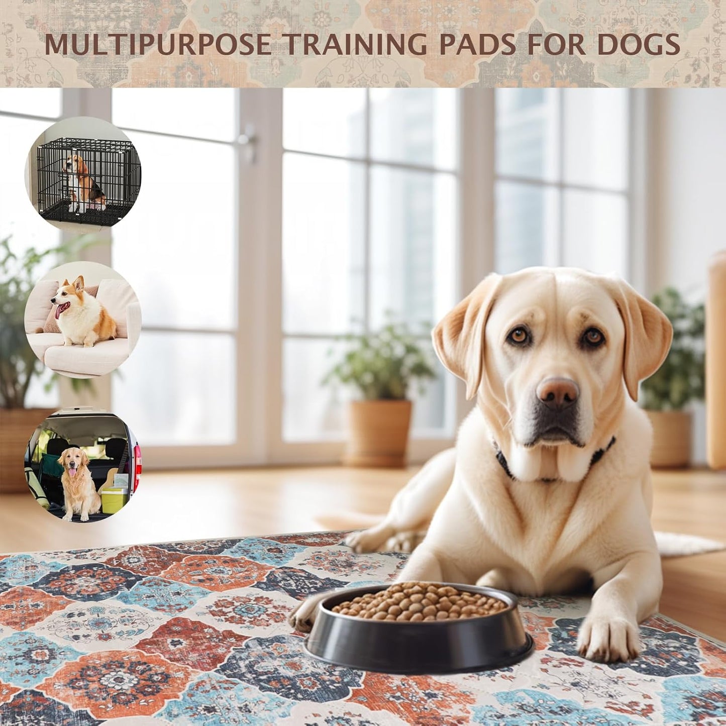 IEUUMLER Washable Pee Pads for Dogs, 2 Pack Reusable Non-Slip Grip, Super Absorbent Waterproof Puppy Pads for Potty Training, Playpen, Crate, Whelping Box EU011 (Orange, 36" x 41")