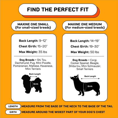 The Maxine One Medium Dog Carrier by Little Chonk | Dog Backpack Carrier for Medium Sized Breeds | Adjustable Front Facing Pet Carrier for Travel | Dog Hiking Backpack - Bark After Dark Black