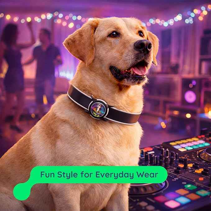 Dog AirTag Holder for Dog Collar, Soft Silicone Slide-On Case for Apple AirTag, No-Dangle Quiet Protective Holder with Eye-Catching Pet Character Designs, Party DJ