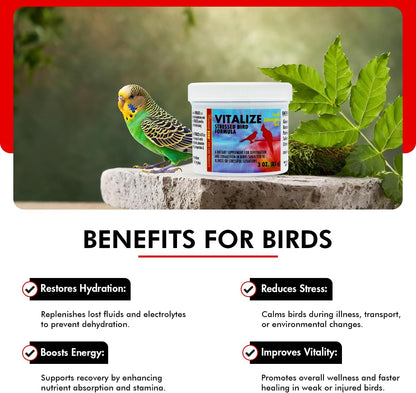 Morning Bird Vitalize, Supplement for Sick, Injured, or Stressed Caged Birds; Dehydration and Exhaustion Treatment for Parakeets, Cockatiels, Budgies, Finches, Canaries, and Parrots, 3 oz