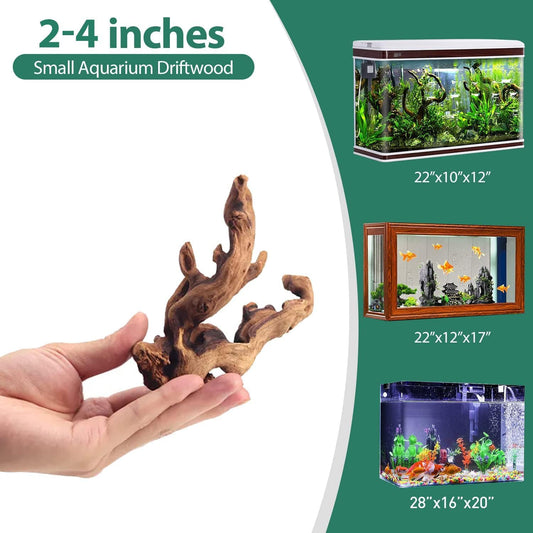 WDEFUN Natural Driftwood for Aquarium Decor, 10-Piece 2''-5'' Small Driftwood for Decorations on Fish Tank, Reptiles Bearded Dragon Accessories or Air Plants