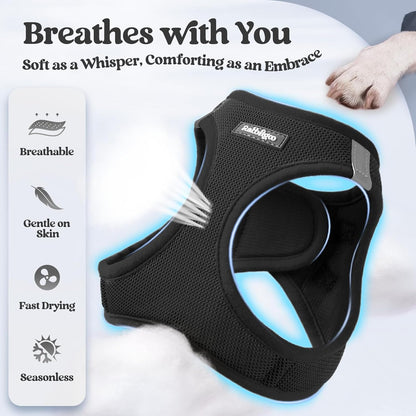 rabbitgoo Dog Harness Small Medium Sized and Leash Set, Step in Soft Light Puppy Vest, Breathable Mesh Pet Harness, Reflective for Safe Easy Walking, Black L