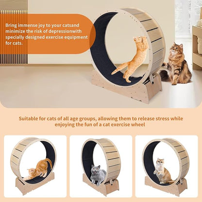 Large Cat Exercise Wheel 40 Inch Treadmill Exerciser for Indoor Cats Love Kitty Running Toy Walking Training for Fitness Weight Loss Device Suitable for Most Cats Physical Exercise Activity