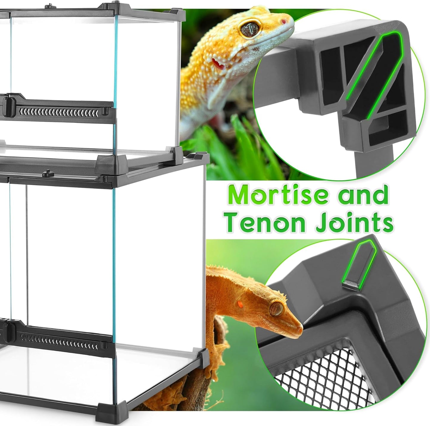 Mini Reptile Glass Terrarium 12"x8"x8" Durable Reptile Habitat Tank with Heat Resistant Aluminum Alloy Frame, Double Swinging Doors for no Jam by Sand and Other Debris - Pawvie