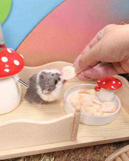 Niteangel Hamster Snack & Treats Toy - Small Animal Natural Treat for Dwarf Syrian Robo Hamsters Gerbils Mice Lemmings Degus or Other Small-Sized Pets