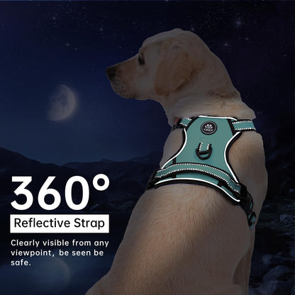 IVY&LANE No Pull Dog Harness with Leash Set, Reflective No Choke Pet Vest,Adjustable Oxford Dog Vest Harness with Easy Control Handle for Large Dogs (Turquoise,XL)