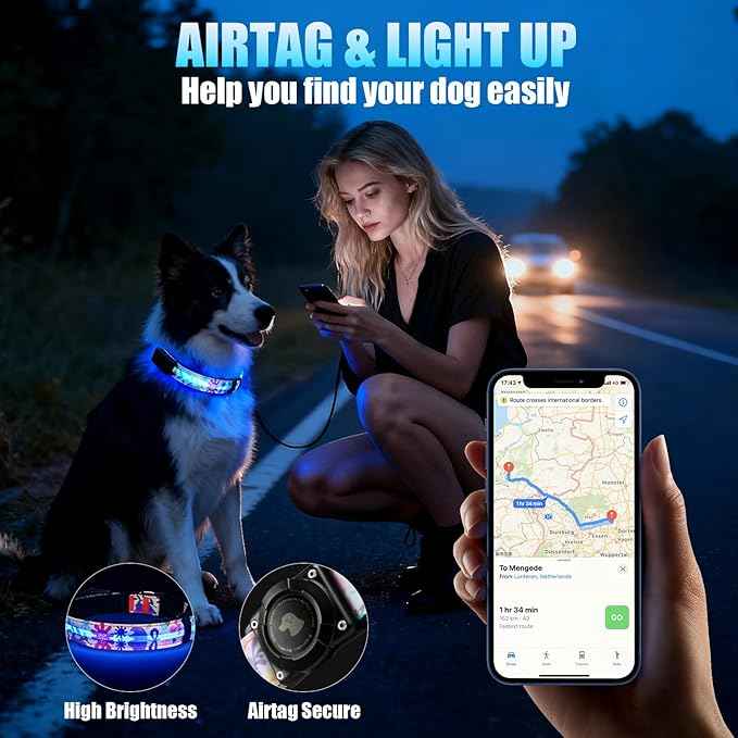 LED AirTag Dog Collar - Brightest Light Up Dog Collars - IP68 Waterproof Air Tag Dog Collar Holder - 1,600 Feet of High Visibility - Magnetic Charging - Dog Lights for Night Walking (Flower, XL)