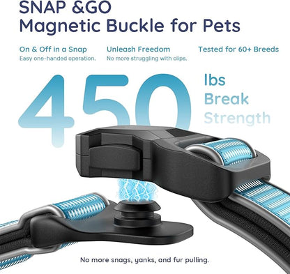 WhoseID Premium AirTag Dog Collar - Air Tag Small Dog Collar | Fur-Safe Magnetic Buckle | IPX8 Waterproof Reflective Dog Collar with AirTag Holder