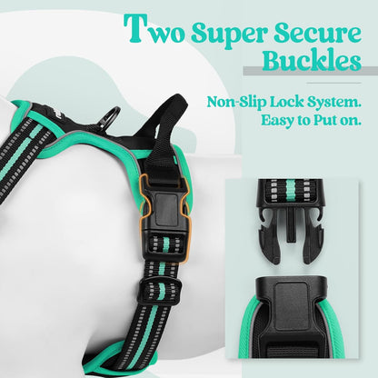 rabbitgoo Dog Harness No Pull with 2 Leash Clips, Adjustable Soft Padded, Reflective Oxford No Choke Pet Vest with Easy Control Handle for Small Dogs, Black & Turquoise, S