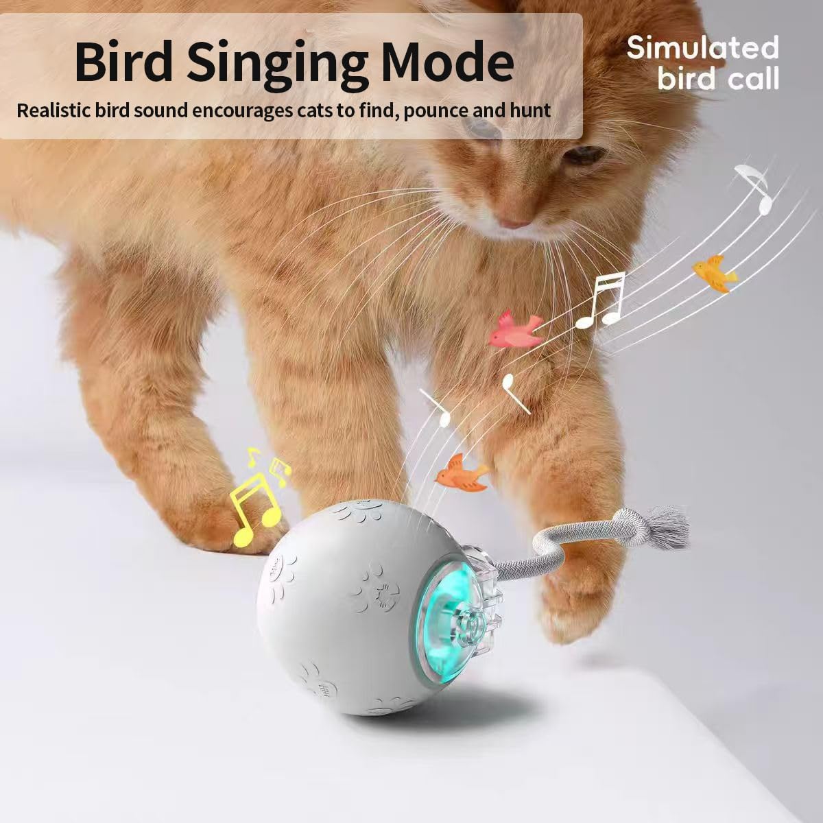 Interactive Cat Toys, Automatic Moving Cat Toy for Bored Indoor Adult Cats, Fast Rolling, Chirping & Motion-Activated Cat Toys, Fun Gift for Cats with Speedy Tail 2.0, USB Rechargeable(Gray)
