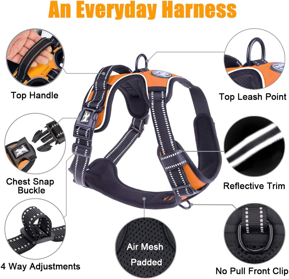 PoyPet No Pull Dog Harness, Reflective Comfortable Vest Harness with Front & Back 2 Leash Attachments and Easy Control Handle Adjustable Soft Padded Pet Vest for Small to Large Dogs (Orange,XS)