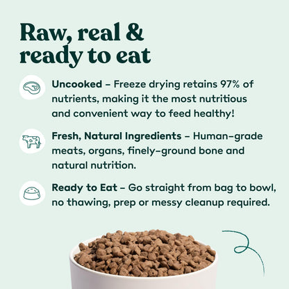 Little Hunter Freeze Dried Turkey Raw Dog Food | Grain Free, Limited Ingredient, Single Protein Meal or Mix in Topper | Novel Protein Kibble Alternative | 15 oz Bag