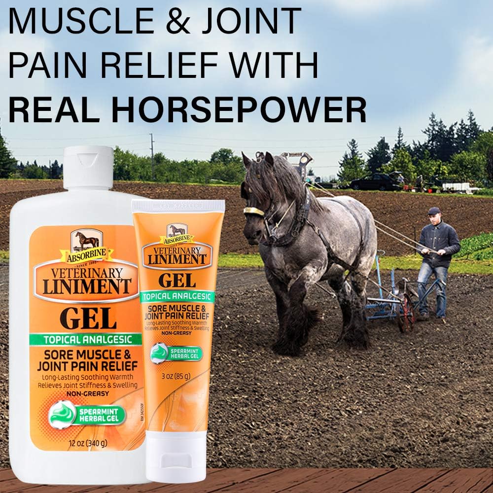 Absorbine Veterinary Liniment Gel, Topical Menthol Analgesic Rub for Sore Muscle, Joint & Arthritis Pain Relief, Combo Pack Includes 12oz Value Size + 3oz Travel Size