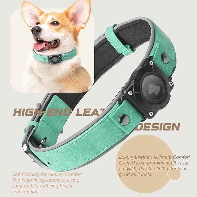 Leather AirTag Dog Collar, Waterproof Dog Collar with Air Tag Holder, Compatible with Apple Air Tag, Reflective, Durable, Comfortable Padded GPS Dogs Collars (Teal, M)