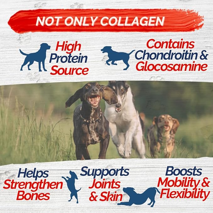 Braided Collagen Sticks for Dogs 10 Pack - 6 Inches - Long-Lasting Alternative to Bully Sticks, Rawhide-Free Collagen Chews w/Chondroitin & Glucosamine for Joint Support & Dental Health