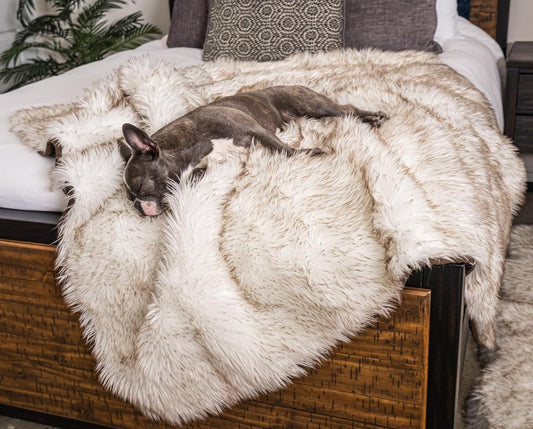 PupProtector Waterproof Throw Blanket for Dogs and Cats, Pet Blanket Cover for Couches, Sofas, Beds, Car Seats, Furniture, Calming Soft Faux Fur, White with Brown Accents, Original (60" L x 50" W)