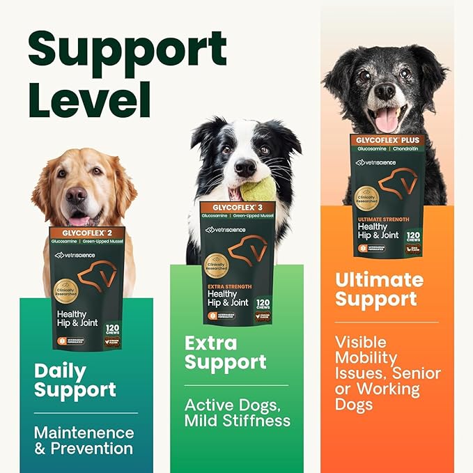 VetriScience Ultimate Strength Hip & Joint Supplement for Dogs, GlycoFlex Plus – MSM, Chondroitin & Green-Lipped Mussel Chews for Mobility, Flexibility, Comfort & Support, Bacon Flavor, 60 Cnt