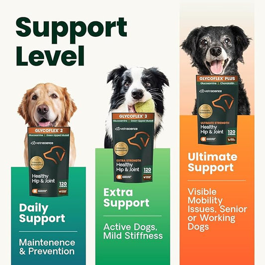 VetriScience Extra Strength Healthy Hip & Joint Chews, GlycoFlex Glucosamine & Green-Lipped Mussel Support Supplement for Dogs, Promote Mobility & Soothe Joint Discomfort, Chicken, 3 Pack