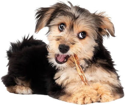 Fieldcrest Farms Nothing to Hide Natural Rawhide Alternative Small Twist Stix for Dogs - (10 Sticks) All Natural Easily Digestible Chews for All Breed Dogs - Great for Dental Health (Pack of 2)