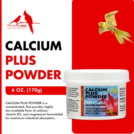Morning Bird Calcium Plus Powder for Birds 6 oz – Calcium Carbonate Powder with Magnesium Glycinate & Vitamin D – Bone Strength & Immune Support Supplement – Calcium Formula for All Bird Sizes