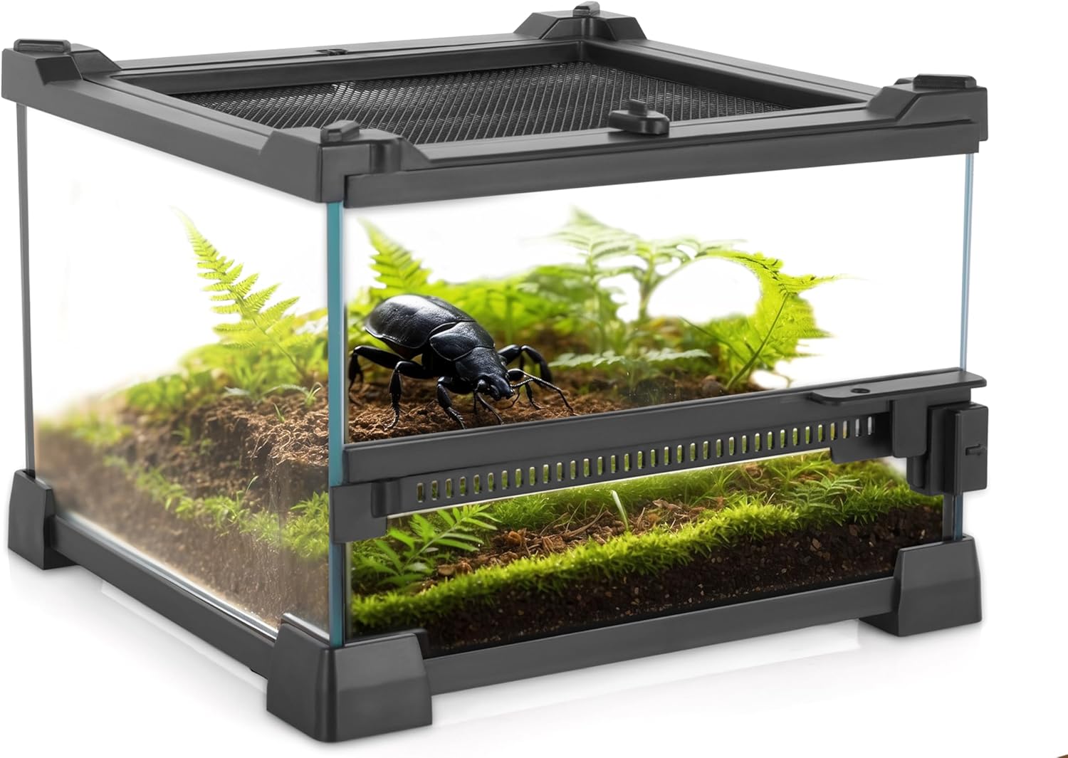 Mini Reptile Glass Terrarium 8"x8"x6" Durable Reptile Habitat Tank with Heat Resistant Aluminum Alloy Frame, Single Swinging Doors for no Jam by Sand and Other Debris - Pawvie