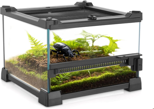 Mini Reptile Glass Terrarium 8"x8"x6" Durable Reptile Habitat Tank with Heat Resistant Aluminum Alloy Frame, Single Swinging Doors for no Jam by Sand and Other Debris - Pawvie