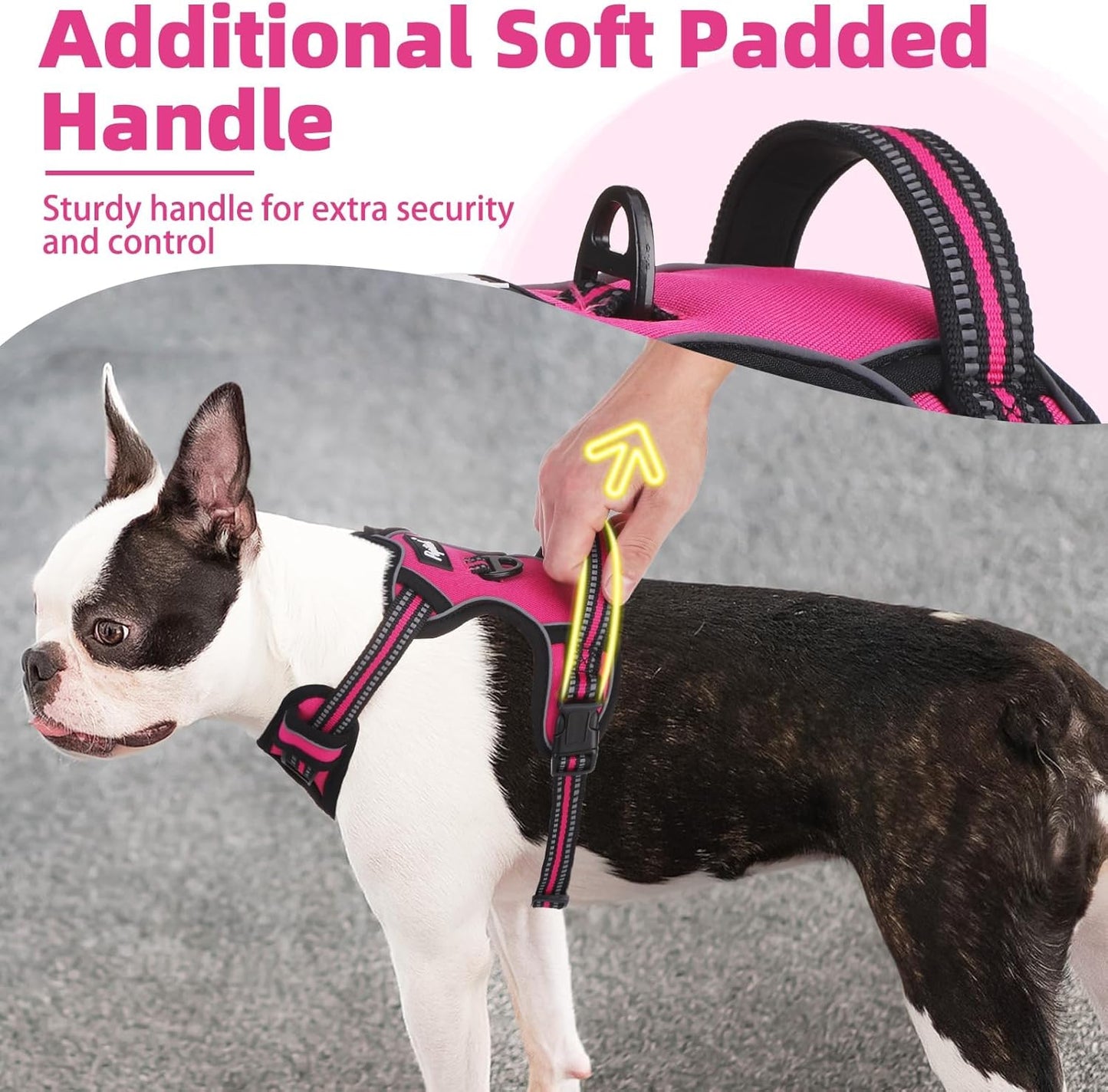 PUPTECK No Pull Dog Harness Small Sized, Adjustable Reflective Dog Harness with Handle Easy Control, Comfortable Soft Padded Pet Vest Harness for Small Dogs, Fuschia S