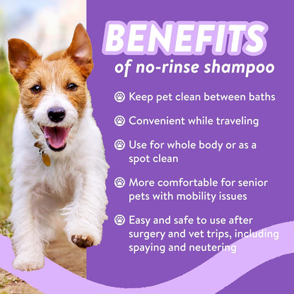 Bodhi Dog Waterless Shampoo - Natural Dry Shampoo for Dogs & Cats - Neutralizes Pet Odor - No Rinse Required - Made of Natural Extracts - Safe for Sensitive Skin - Made in USA - Lavender (8 Fl Oz)