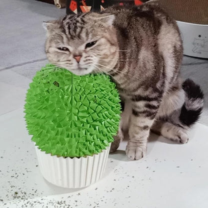 Catnip Feeder and Self Grooming Toys - Cat Face Scratcher, Wall Corner Massage Comb for Indoor Cats (yellow)