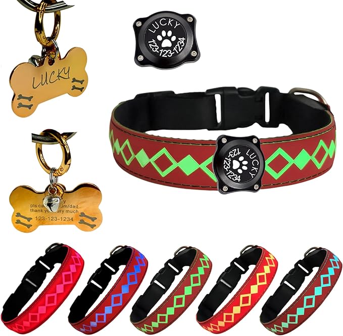 LED Dog Collar with AirTag Holder and Custom ID Tag, 15 Light Modes, Waterproof, Multiple Colors (RED, L(15.7-19.7"))