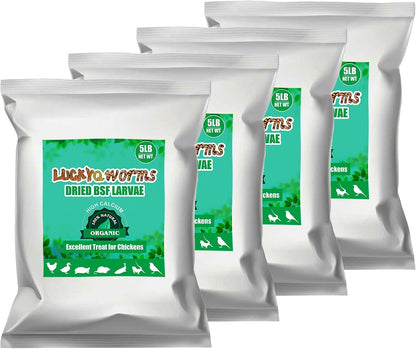 Dried Black Soldier Fly Larvae 20LBS, 85X More Calcium Than Mealworms High-Protein BSF Larvae Chicken Treats Non-GMO BSFL for Chickens, Hens, Ducks, Wild Birds