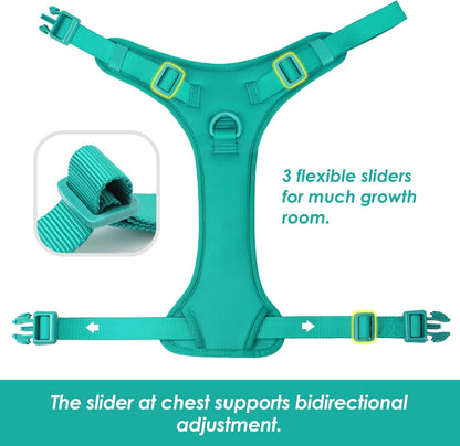 No Pull Dog Harness, Puppy Vest with Front Clip for Small Medium Large Sized Dog(MARRS Green,L)