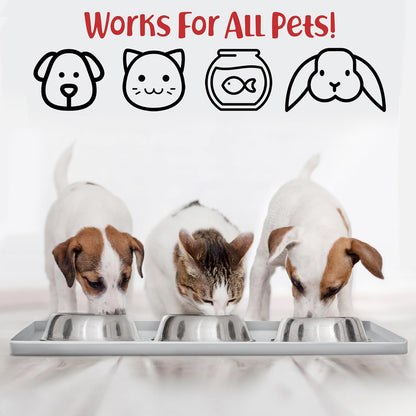 DogBuddy Dog Food Mat – Waterproof Dog Bowl Mat for Food and Water, Silicone Pet Feeding Mats for Floors, Non-Slip Placemat with High Edges for Dogs Bowls, Puppy Essentials (M: 21” x 14”, Mist)