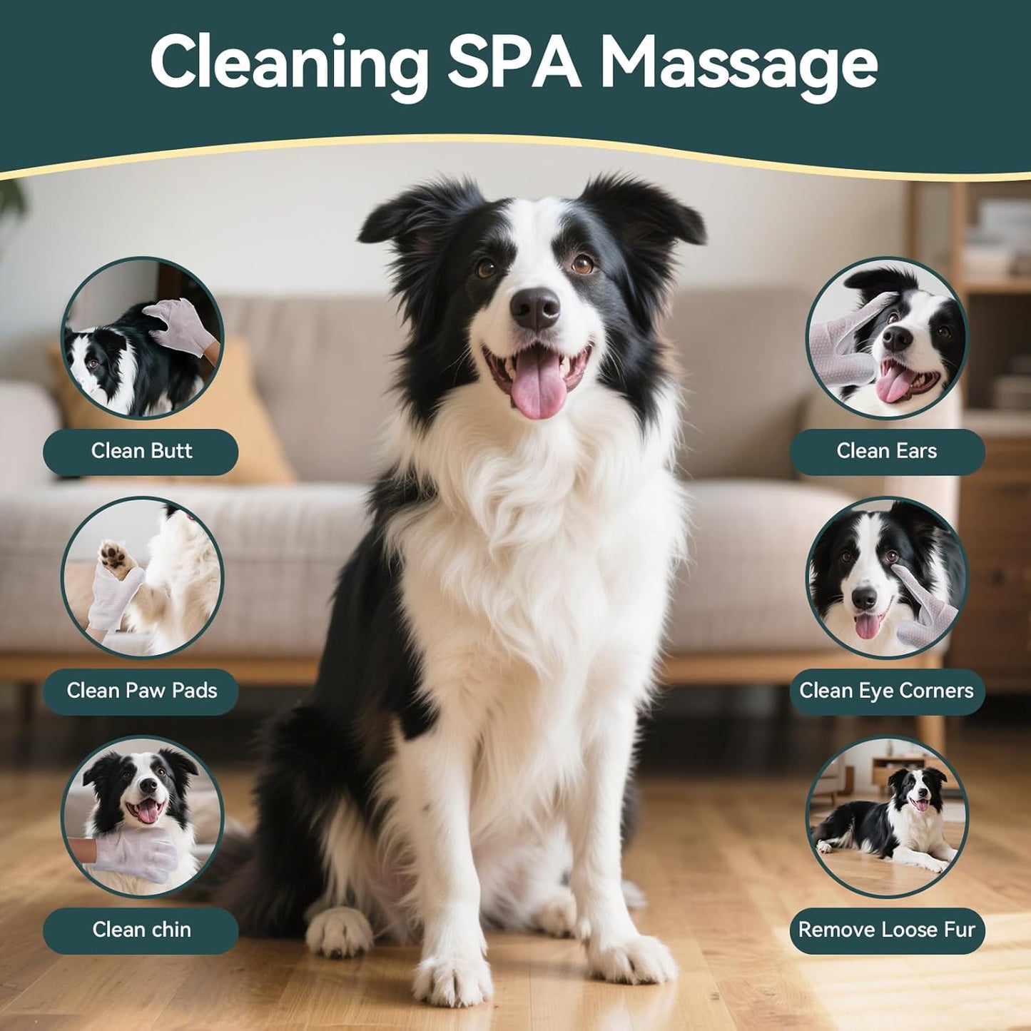 WLP Cleaning and Deodorizing Glove Wipes for Dogs & Cats, Suitable for Sensitive Areas, Safe for Licking, Pet Grooming Bath Wipes. Puppy Essentials. Independent Packaging, Easy to Carry (12 PCS)