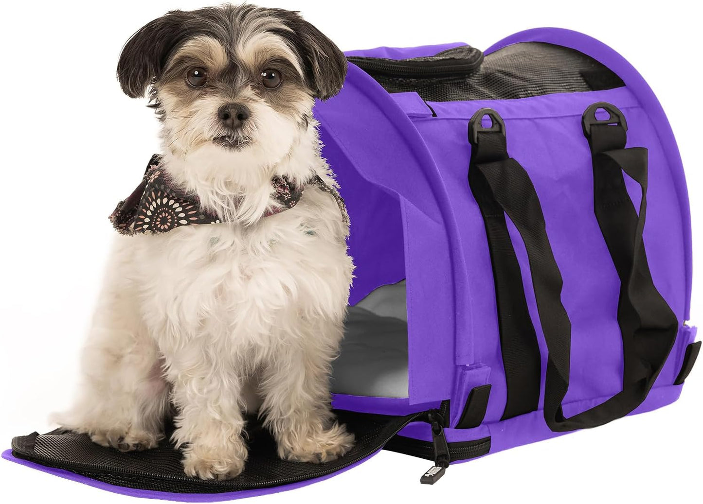 SturdiBag Pro 2.0 Pet Travel Carrier for Cats and Dogs | Soft Sided Pet Carrier Bag with Safety Clips and Seatbelt Straps for Airplane or Car Travel | Cube, Purple - Pawvie