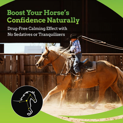 SynChill AF Calming Gel for Nervous Horses - Single Serving - Advanced Formula with L-Theanine, Increased Potency, 100% Natural Supplement, Disposition & Confidence Support for Horses