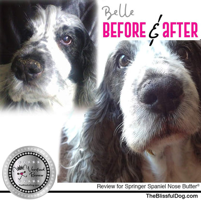 The Blissful Dog Springer Spaniel Unscented Nose Butter, 16oz