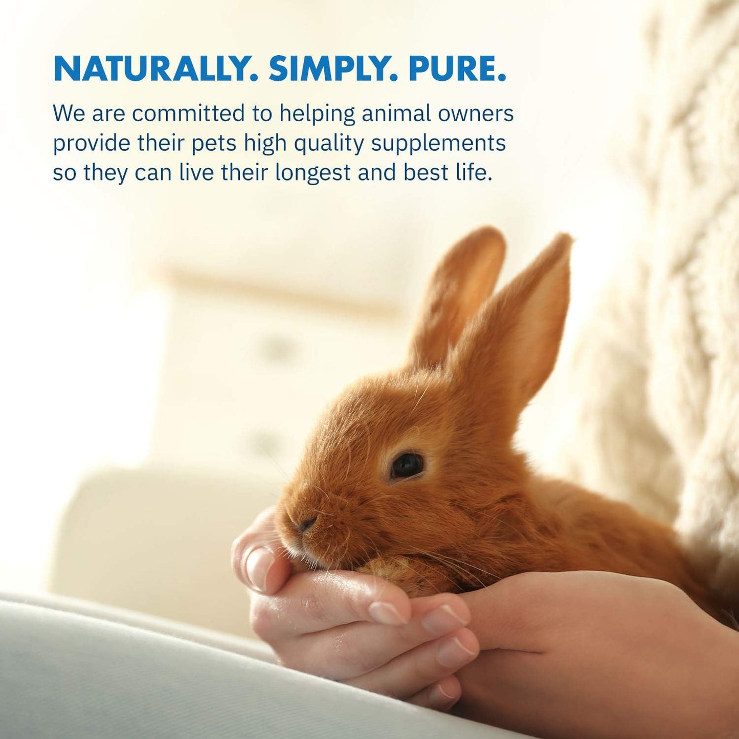 HealthyGut Probiotics for Rabbits Dietary Supplement, All-Natural Digestive System Formula (120 Servings)