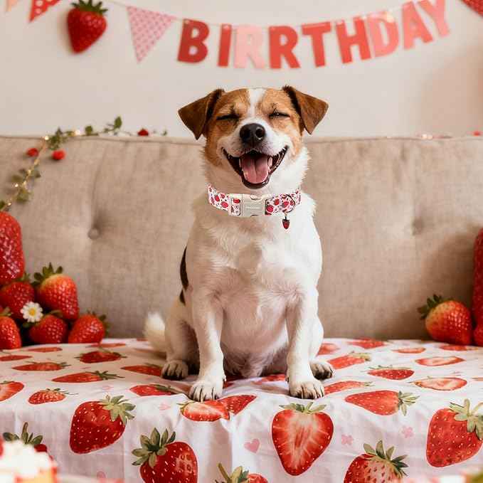 DOGWONG Strawberry Dog Collar, Cute Pink Strawberry Pet Collars with Quick Release Buckle for Puppy Small Medium Large Boy Girl Dogs-M