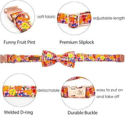 Elegant Little Tail Fruit Print Dog Collar - Cute Bowtie for Small to Large Dogs