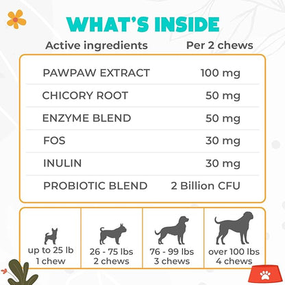 Probiotics for Dogs Chews 150 pcs - Probiotic Chews for Dogs with Enzymes & Natural Ingredients - Digestive & Gut Health Support - US Formula - Beef Flavored