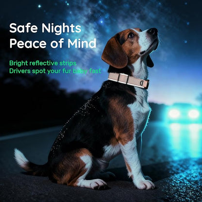 WhoseID Premium AirTag Dog Collar - Air Tag Small Dog Collar | Fur-Safe Magnetic Buckle | IPX8 Waterproof Reflective Dog Collar with AirTag Holder