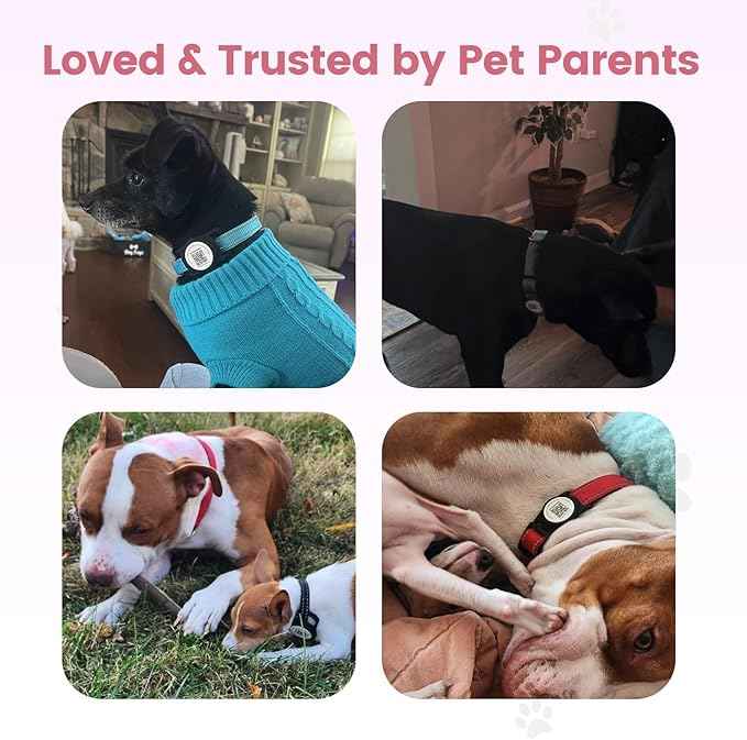 for AirTag Dog Collar Holder, Smart QR Code for Air Tag Holder Cats and Dogs, for AirTag Protective Cases - Scan Alert, Instant Location, Pet Online Profile, Contacts Info (1 Pack, Pink)