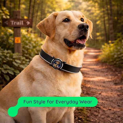 Dog AirTag Holder for Dog Collar, Soft Silicone Slide-On Case for Apple AirTag, No-Dangle Quiet Protective Holder with Eye-Catching Pet Character Designs, Black-Trail Guide