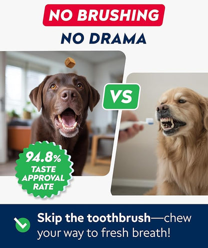 STRELLALAB Advanced Dog Dental Chews & Breath Freshener, Dog Teeth Cleaning, Bad Breath & Tartar and Plaque Off Remover for Dogs, Pet Oral Care, Pro Perio Support Lab Co Bright Formula - 90 Treats