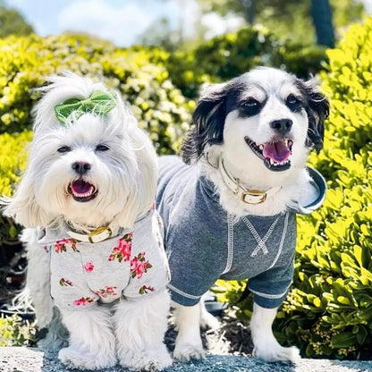 Blueberry Pet Essentials Soft & Comfy Better Basic Cotton Blend Dog Hoodie Sweatshirt in Charcoal Grey, Back Length 16", Pack of 1 Jacket for Dogs