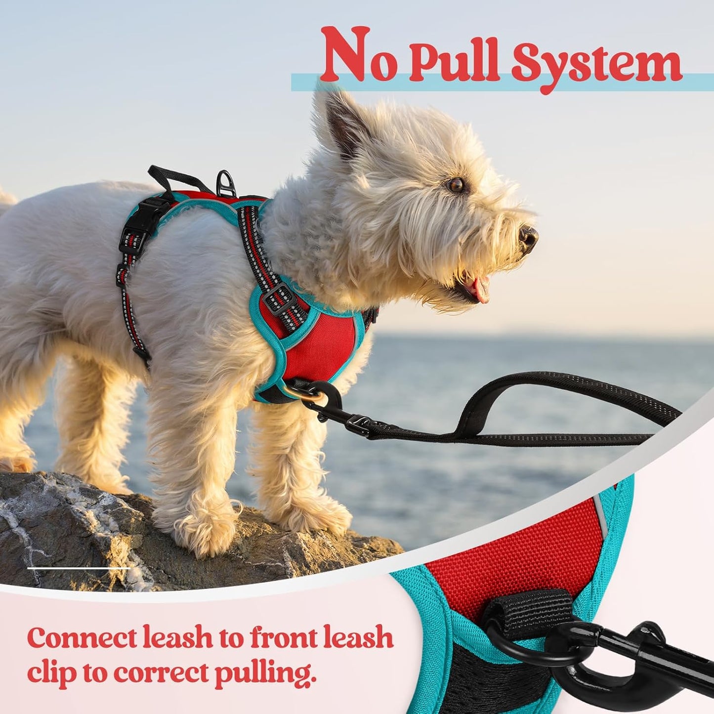 rabbitgoo Dog Harness No Pull with 2 Leash Clips, Adjustable Soft Padded, Reflective Oxford No Choke Pet Vest with Easy Control Handle for Puppy, Red & Teal, XS